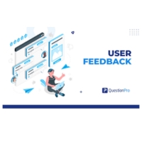 the Effectiveness of Website Interface Design: User Feedback and Testing