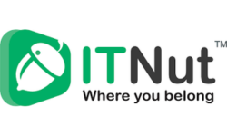 1. IT Nut Hosting